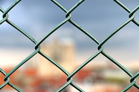 looking-through-fence